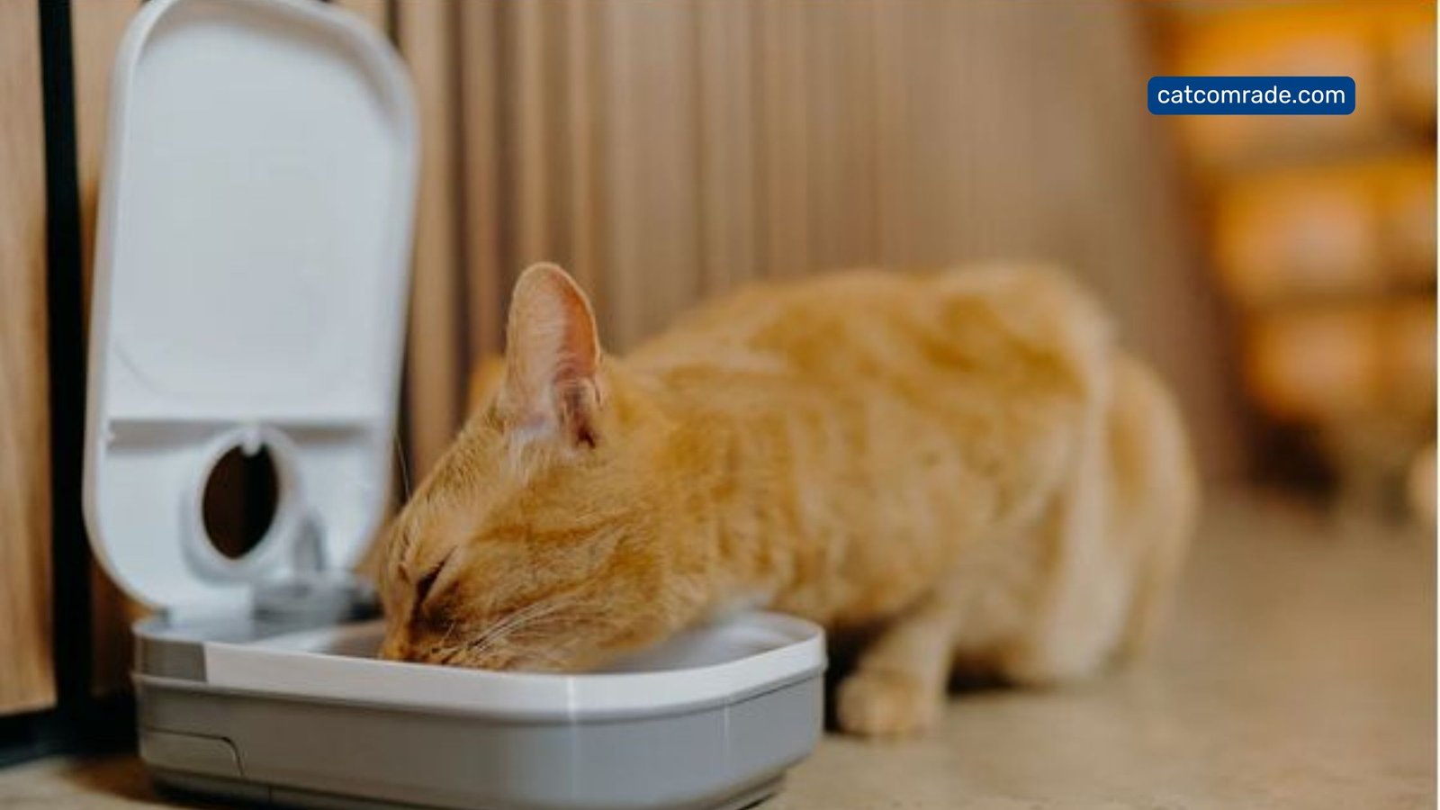 Essential Guide, Cat Mate Automatic Feeder: How to Choose the Best Feeder (C200, C3000 & C500)