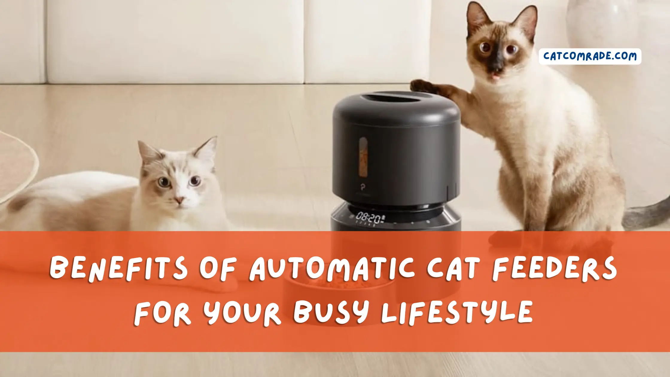 Benefits of Automatic Cat Feeders for Your Busy Lifestyle