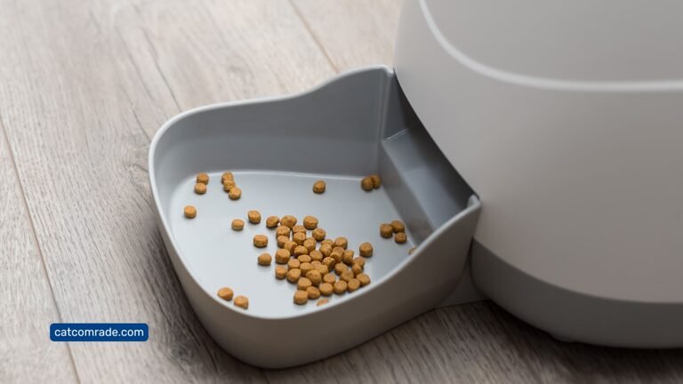 How Long Can You Leave a Cat Alone with an Automatic Feeder