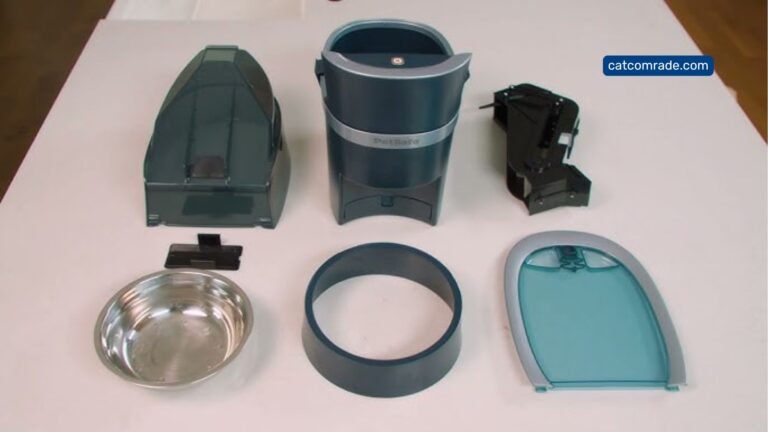 How to Clean Automatic Cat Feeder_ Quick Tutorial