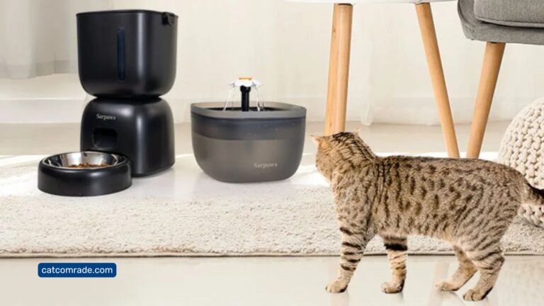 How to Train Cat to Use Automatic Feeder_ Step-by-Step Guide