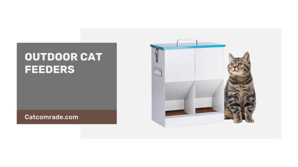 Outdoor Cat Feeders