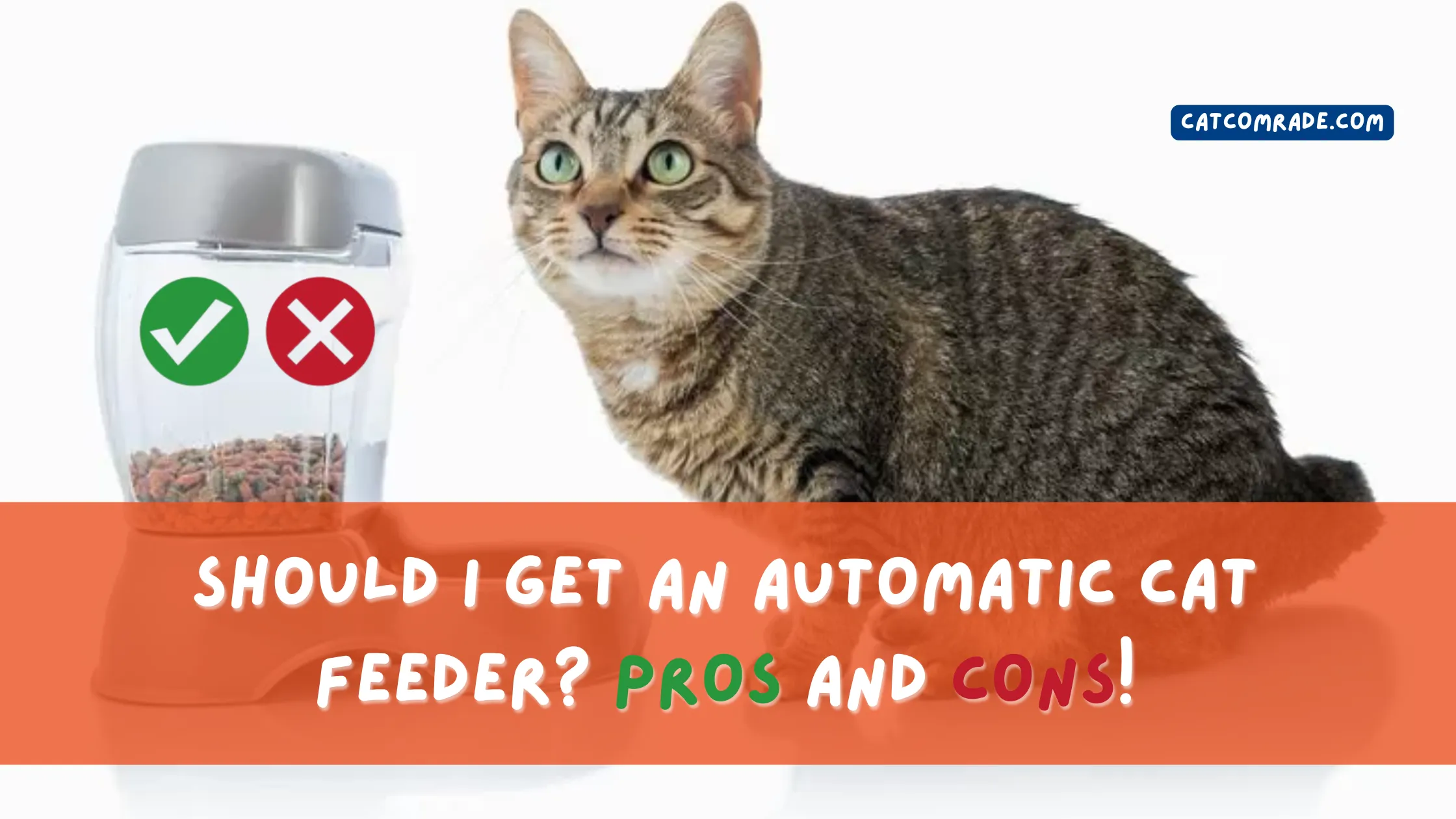 Should I Get an Automatic Cat Feeder? Pros and Cons