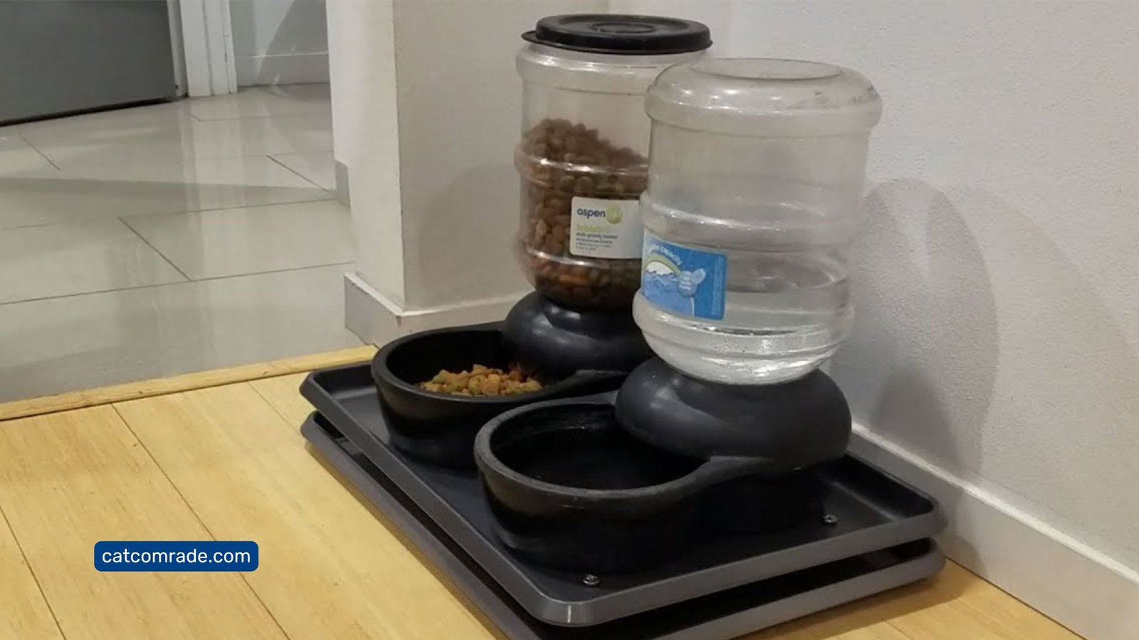 Simple Tips_ How to Keep Ants Out of Automatic Cat Feeders
