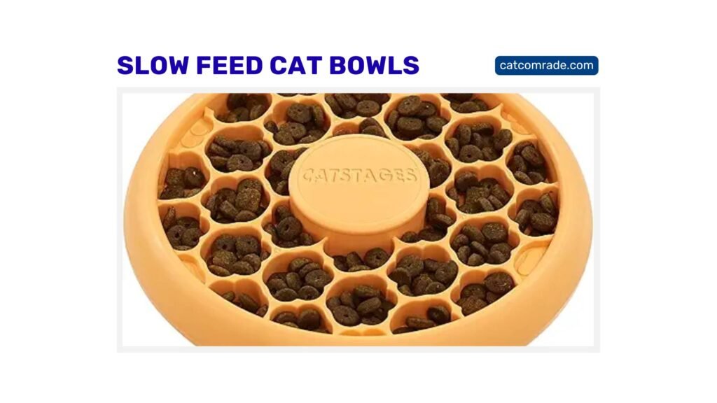 Slow Feed Cat Bowls