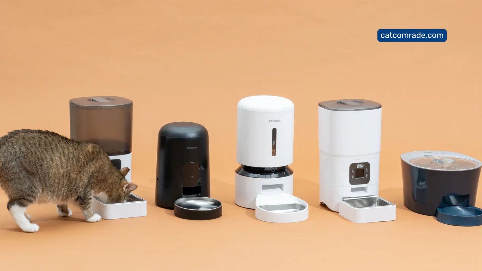 Understanding Types of Cat Feeder_ A Comprehensive Guide