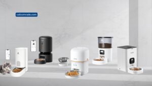 10 Best Automatic Feeder for Cats