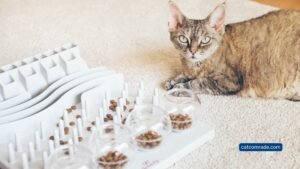 10 Best Puzzle Feeder for Cats to Boost Fun and Slow Mealtime