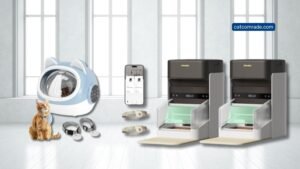 10 Cat Automatic Feeder With Chip: Smart, Meal Management Solutions