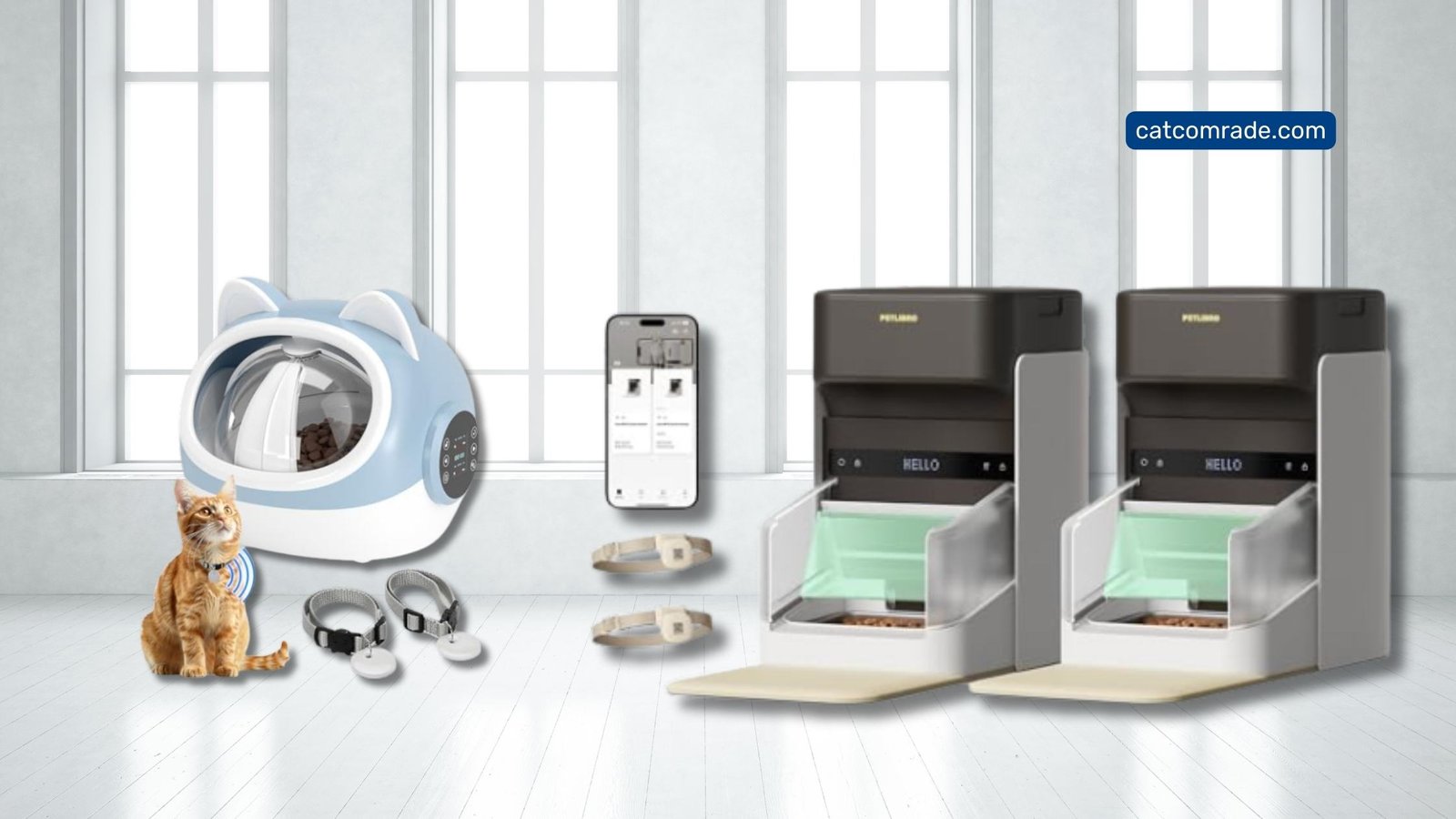 10 Cat Automatic Feeder With Chip: Smart, Meal Management Solutions