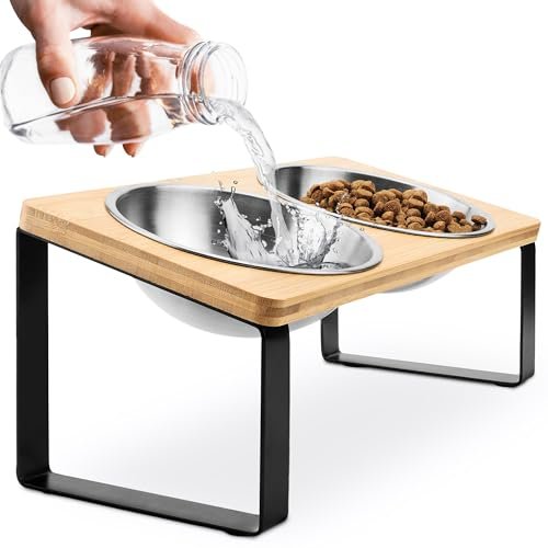 Raised cat Bowls for Indoor Cats by WinTruffles, Elevated cat Bowls, Tilted and Elevated Anti Vomiting Cat Dishes for Food and Water, Set of 2 Stainless Steel Bowl