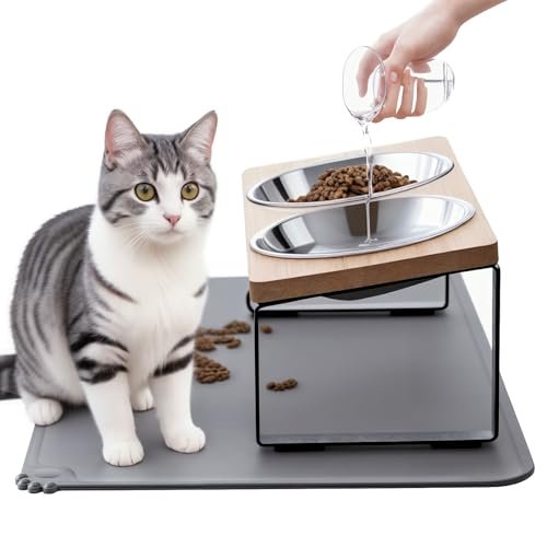 Tigelas elevadas para gatos com tapete de comida, suporte inclinado de 15° antivômito, pratos elevados para gatos para comida e água, 2 tigelas de aço inoxidável para gatos e filhotes