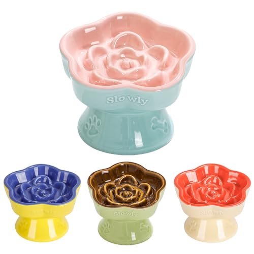 S&q's Ceramics Raised Slow Feeder Cat Bowl