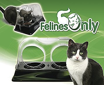 Felines Only - The Purrrfect Cat Dish
