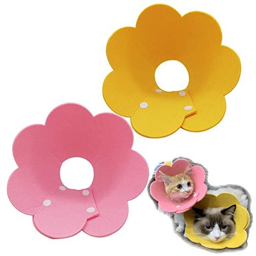 Lanyihome Coleira de recuperação de gatos – Linda flor pescoço de gato cones pós-cirurgia, coleira ajustável para gato, coleiras de elizabetano para recuperação de cirurgia para gatinhos, filhotes, coelhos tamanho M (2 peças)