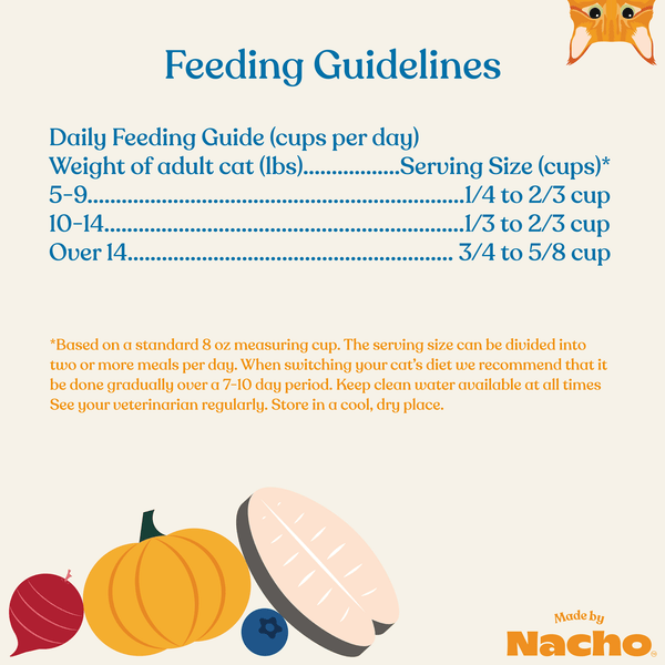 Feeding Pumpkin to Cats: Benefits, Risks, and Expert Tips
