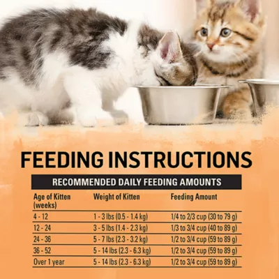 How Much Canned Food Should I Feed My Cat: Expert Feeding Guide