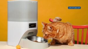 6 Electronic Cat Feeder: Top Automatic Feeders for Pet Meals