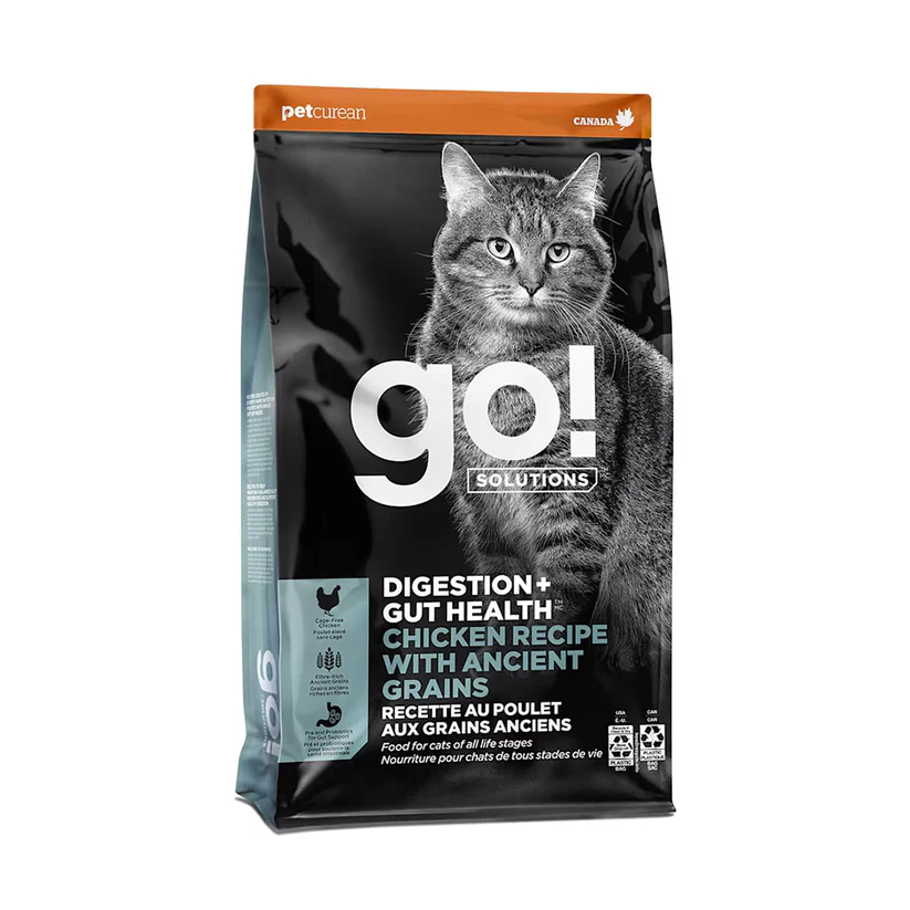 What to Feed a Constipated Cat: Effective Diet Tips for Relief