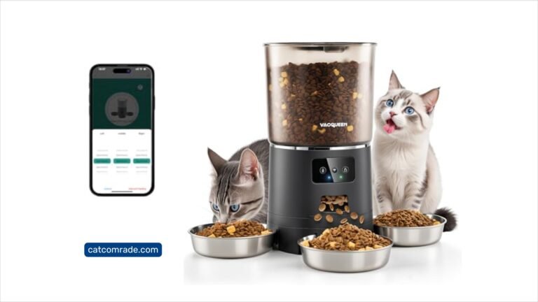 Best Automatic Cat Feeder for Multiple Cats Top Picks for Easy Feeding
