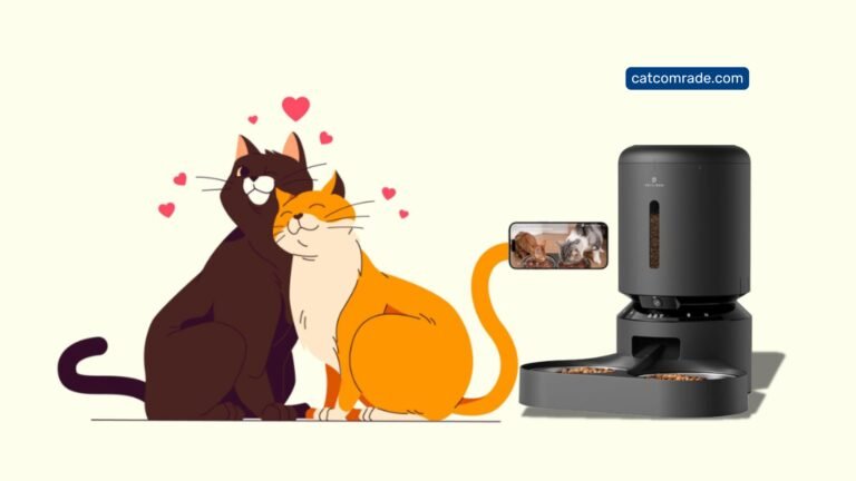 Best Automatic Cat Feeder for Two Cats_ Top Picks for Happy Pets