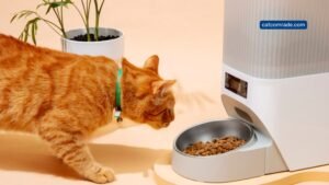 Best Feeding Schedule for Cats_ Discover Smart Feeders & Tools