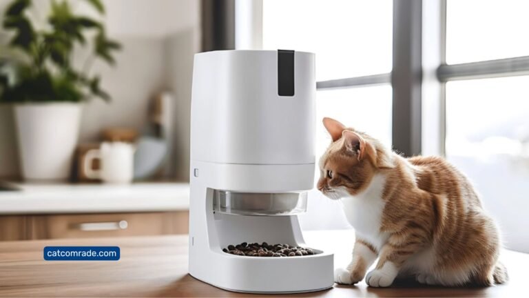 Best Gravity Feeder for Cats_ Top Picks for Easy Feeding Solutions