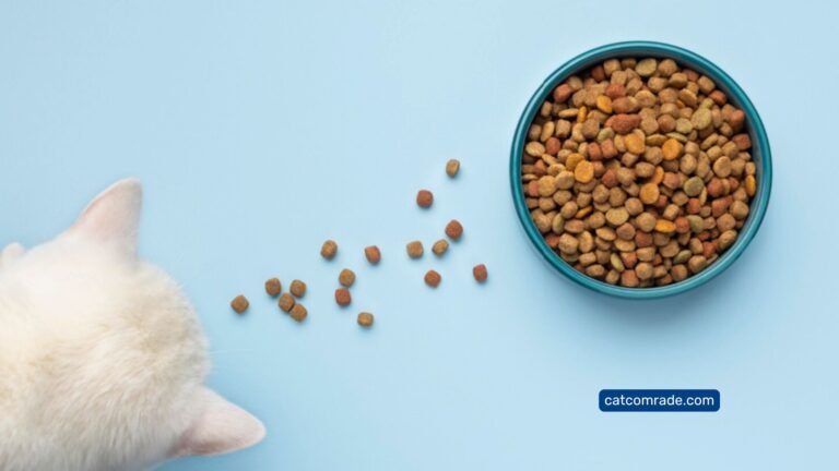Best Slow Feeder for Cats_ Enhance Mealtime and Digestion Effortlessly