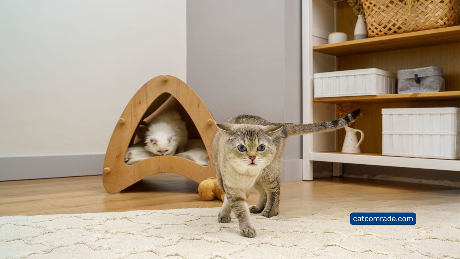 Cat Feeding Station Furniture: Stylish, Raised Bowls with Built-In Scratching Board