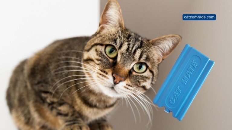 Cat Mate C20_ Enhance Pet Feeding with Single Replacement Ice Pack
