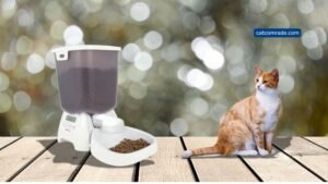 Cat Mate C3000_ Revolutionising Pet Feeding with Automatic Precision