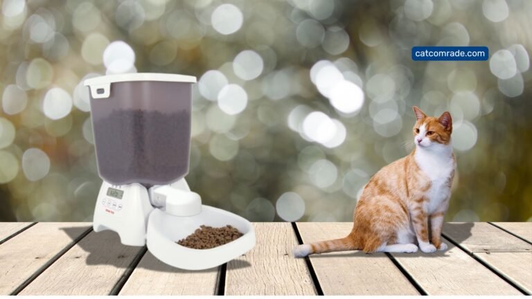 Cat Mate C3000_ Revolutionising Pet Feeding with Automatic Precision