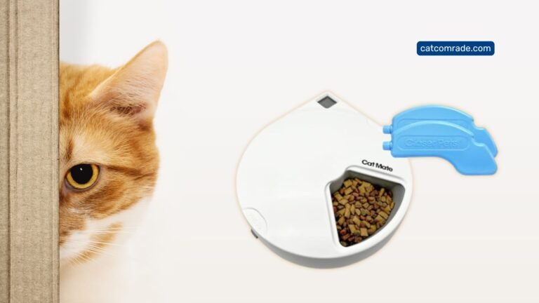 Cat Mate C500_ Revolutionise Pet Feeding with 5-Meal Automatic Feeder