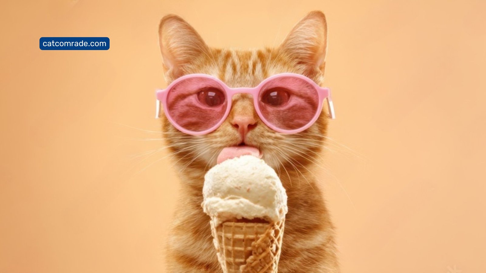 Feeding Cats Ice Cream: Safe Treats or Risky Snack?