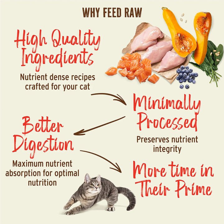 How Much Raw Food to Feed Cat: Ultimate Guide for Perfect Portions