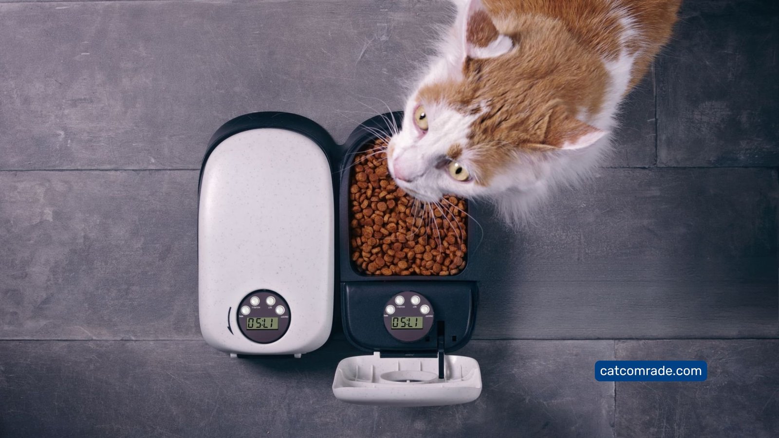 Motion Sensor Cat Feeder Effortless Feeding with Smart Infrared Technology