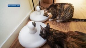 7 Remote Control Cat Feeder for Convenient, Timed, and Fresh Pet Meals