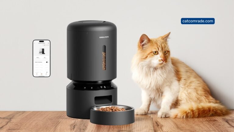 Top Rated Automatic Cat Feeders for Convenient, Timed Pet Feeding Solutions