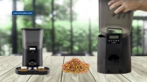 Why My Automatic Cat Feeder is Jammed: Easy Fixes Revealed