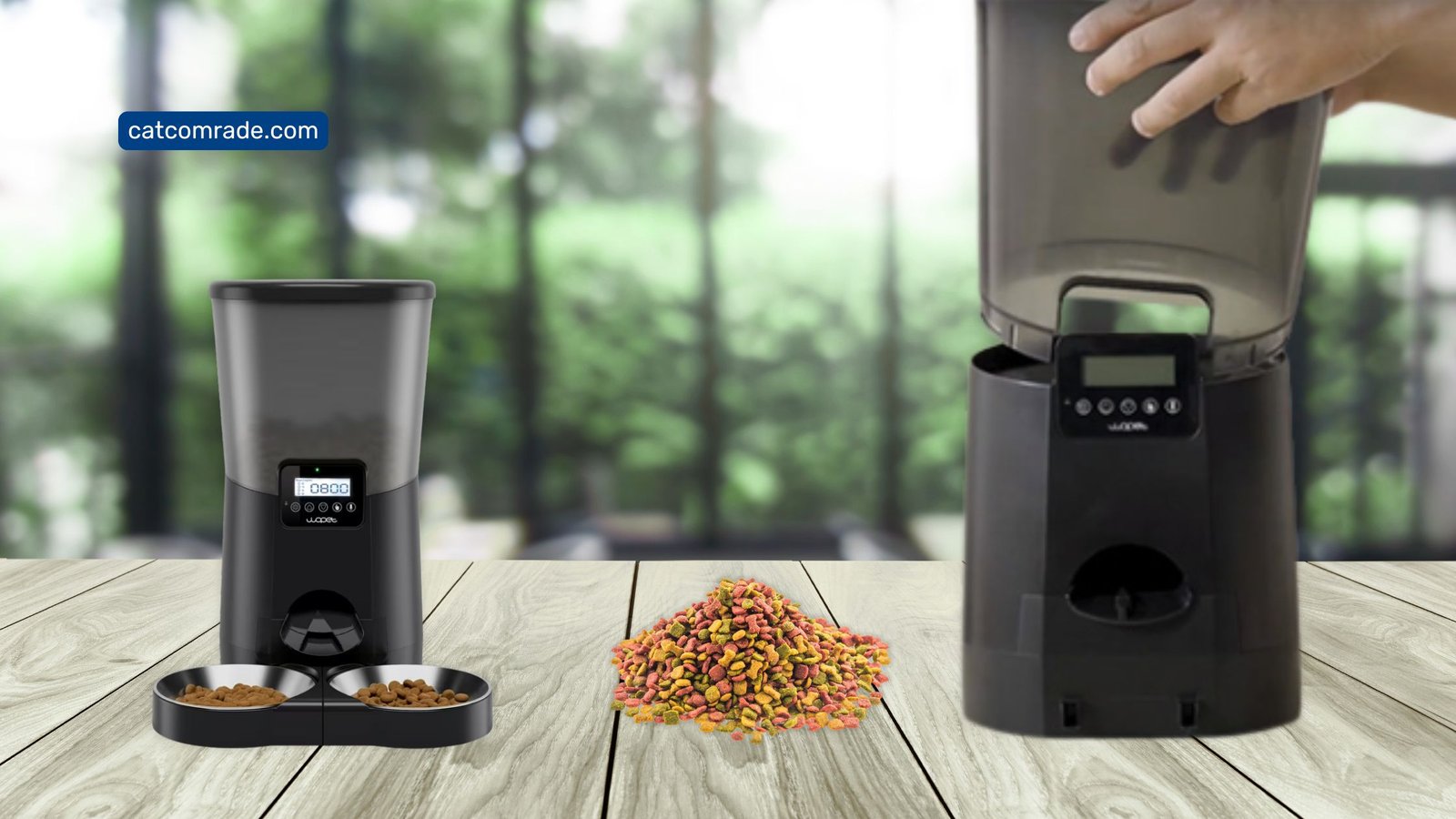 Why My Automatic Cat Feeder is Jammed: Easy Fixes Revealed