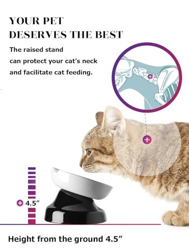 Y YHY Ceramic Cat Slow Feeder, Elevated Dog Food Bowl Tilted Design, Slow Feeder Bowl no Black Chin, Cat Shape for Dry and Wet Food - Image 3