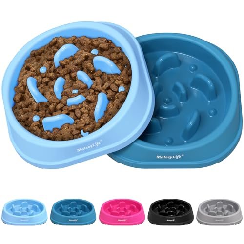 MateeyLife 1 xícara de quebra-cabeça interativo para cães, pratos lentos, azul-claro, azul escuro