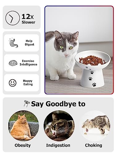 Y YHY Slow Feeder Cat Bowl, Ceramic Cat Slow Feeder Bowl, 6 Inches, Elevated, Anti Vomiting for Dry and Wet Food, White - Image 3