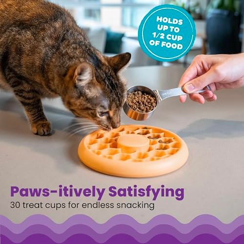 Catstages Cat Slow Feeder Bowl for Indoor Cats, Stimulating Treat Puzzle Toy, Dry or Wet Food, 1/2 Cup Capacity, One Size, Orange - Image 3