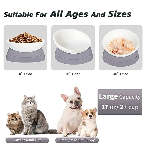 Ravitat Elevated Cat Food Bowl - Adjustable, Anti-Slip & Anti-Noise, Protects Pet's Spine, Thickened Plastic, 17 Oz - Image 3