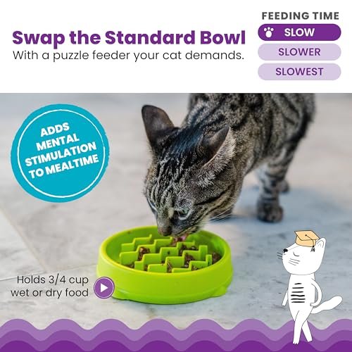 Catstages Kitty Slow Feeder Cat Bowl for Wet or Dry Cat Food, Helps Prevent Bloat & Improve Digestion, Non-Slip, BPA-Free, Small, Green - Image 3