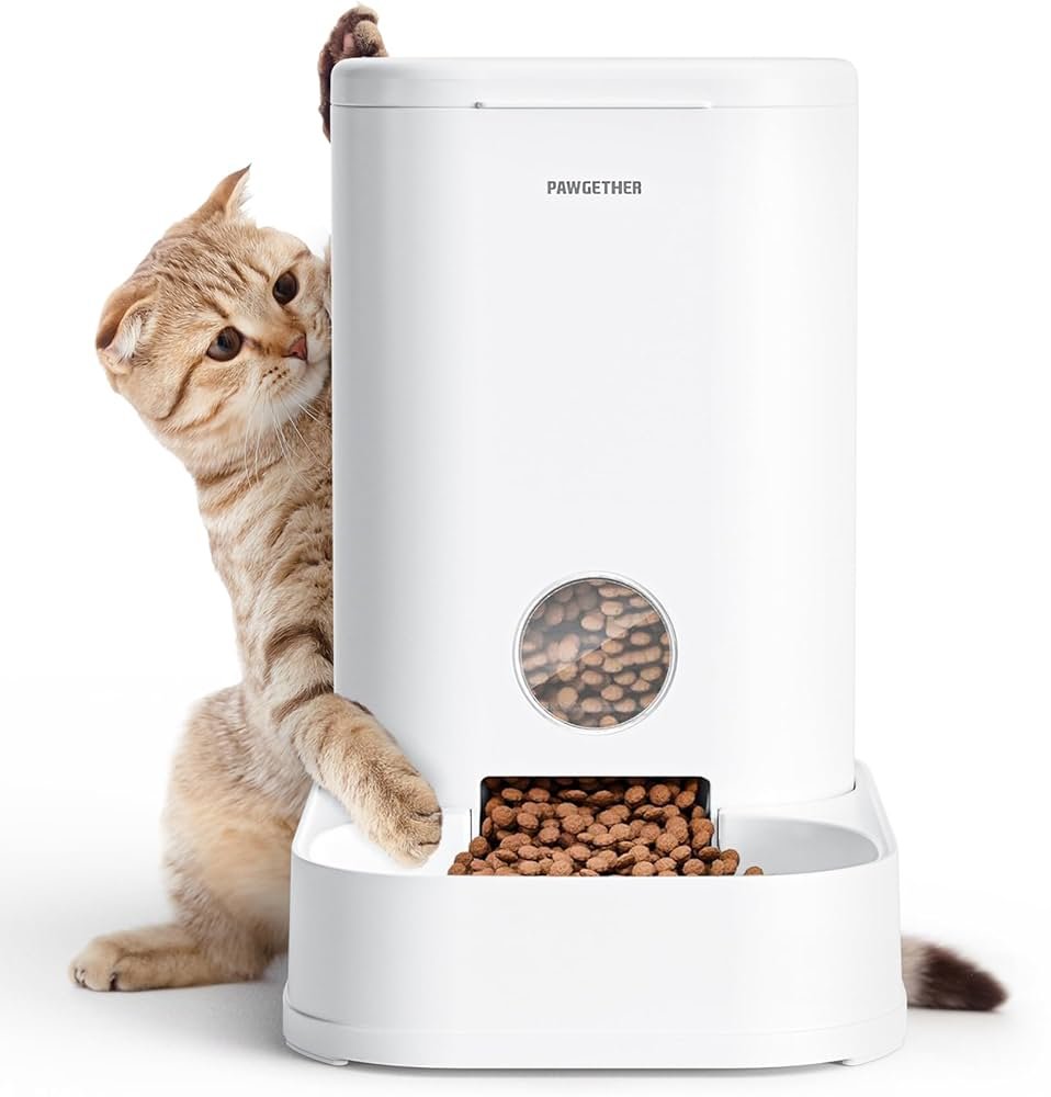 Best Automatic Cat Feeder for Large Kibble: Top Reliable Picks