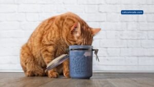 7 Automatic Cat Biscuit Dispenser for Timed, Portion-Controlled Pet Feeding