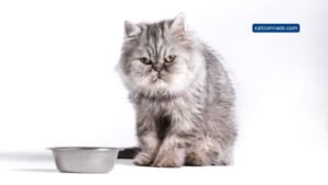 Automatic Cat Biscuit Feeder_ Convenient Timed Dry Food Dispenser Guide