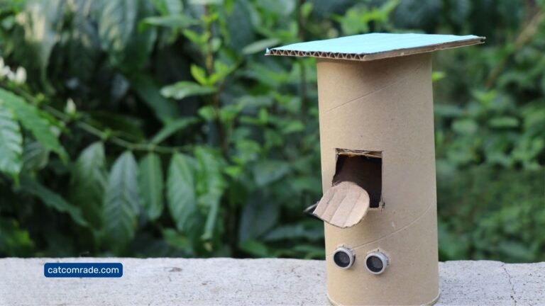 DIY Automatic Feeder for Cats